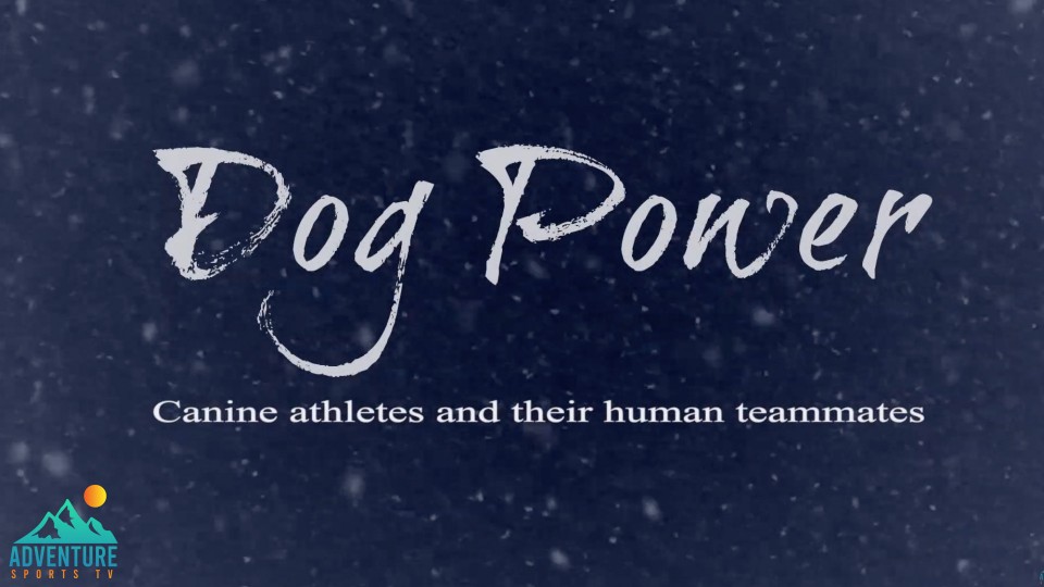 Dog Power 1920 x 1080