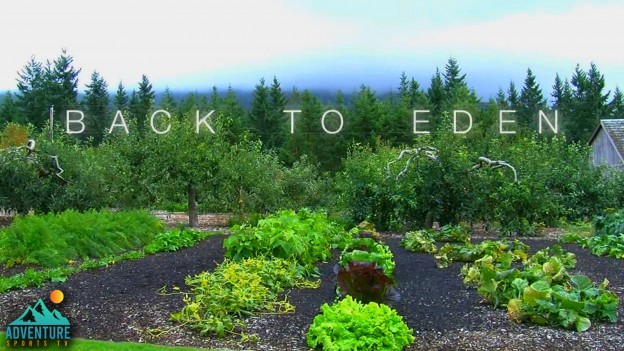 Back to Eden