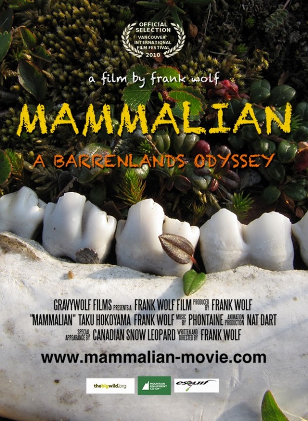 Mammalian