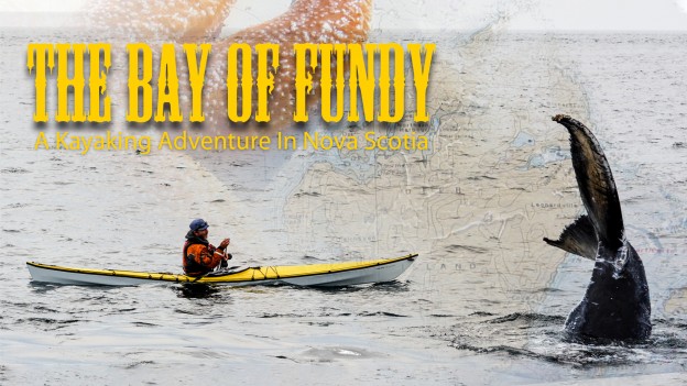 The Bay Of Fundy