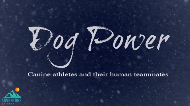Dog Power