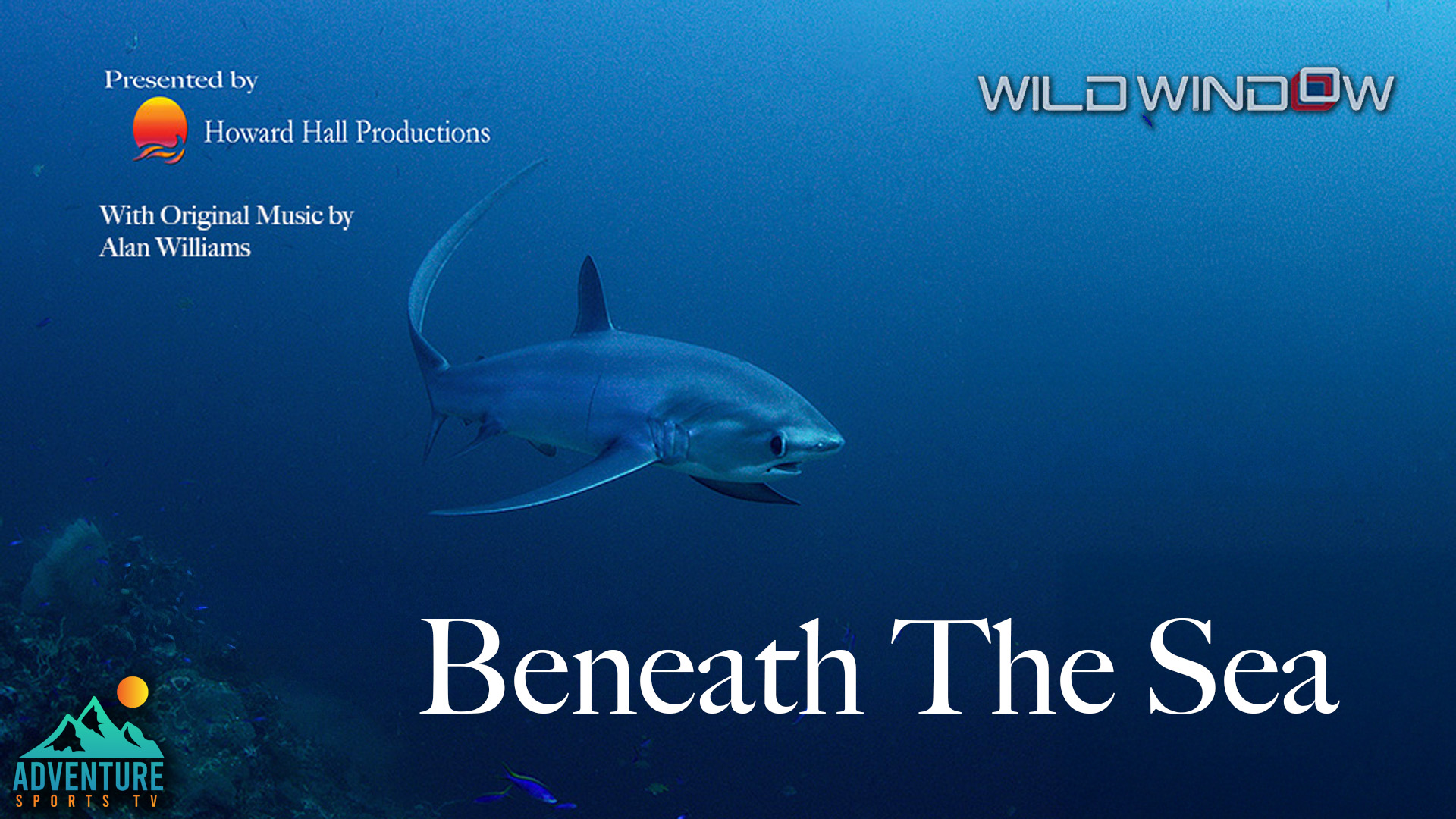 Beneath the Sea