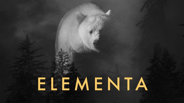 Elementa