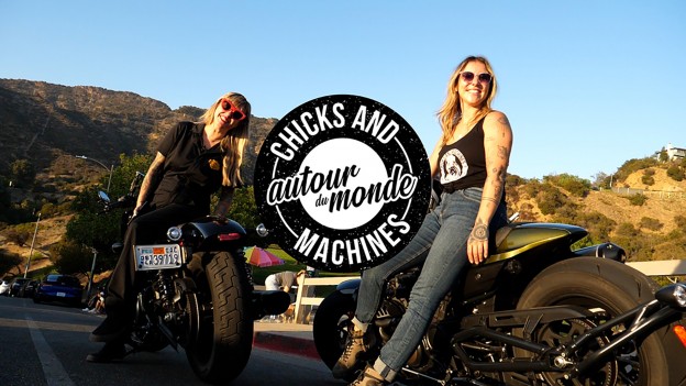 Chicks and Machines