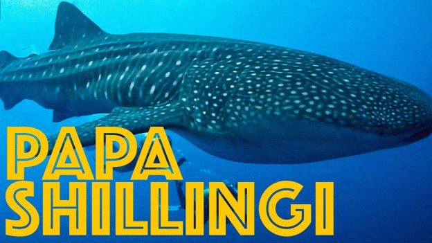 Papa Shillingi