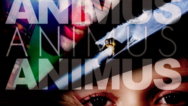 Animus