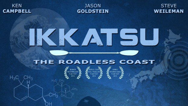 The Ikkatsu Project