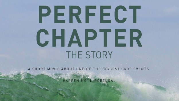 Perfect Chapter, The Story