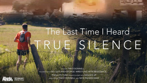 The Last Time I Heard True Silence