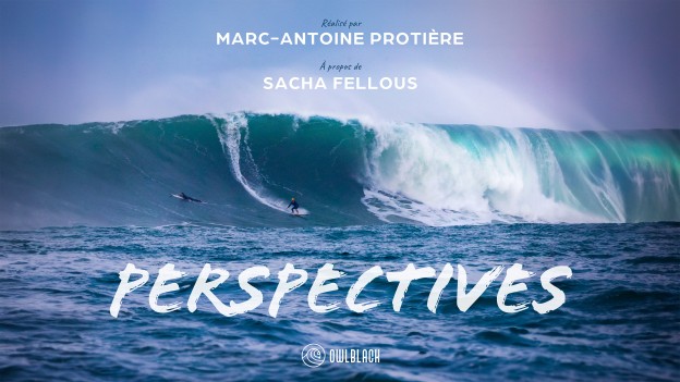 Perspectives