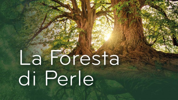 The Pearl Forest / La Foresta di Perle