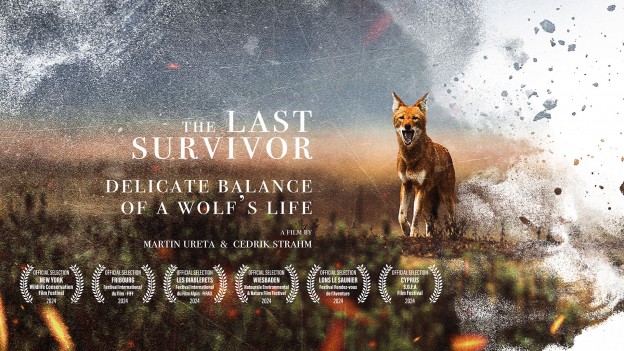 The Last Survivor / Le Dernier Survivant